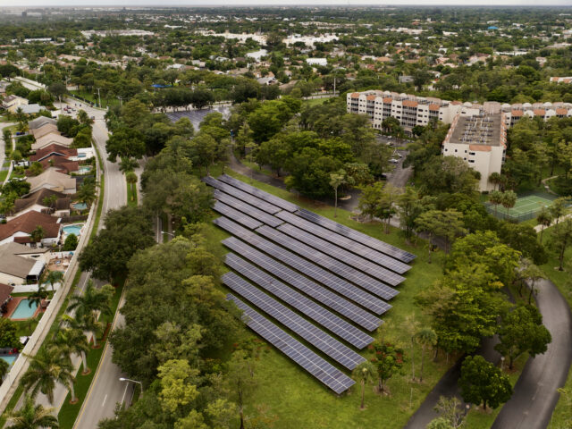 Cras tristique purus non lacus