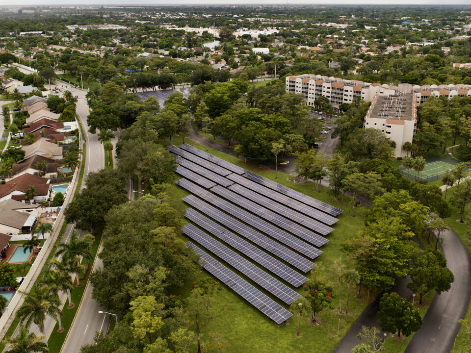 Cras tristique purus non lacus